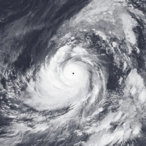 Read more about the article Strongest Cyclone by Minimum Central Pressure “Typhoon Tip”